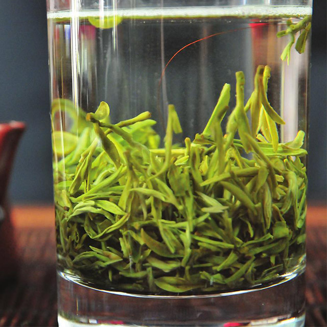 雅品清香——湄潭翠芽