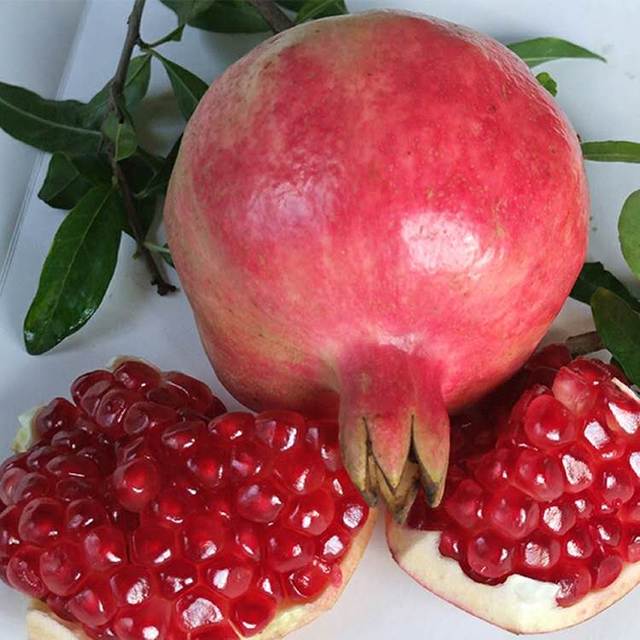 { 建水酸石榴5斤装 } 5斤8-10个,单果250-300g,酸甜可口,韵达包邮