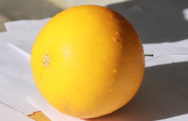 缅甸黄金蜜瓜2个装 约5-6斤