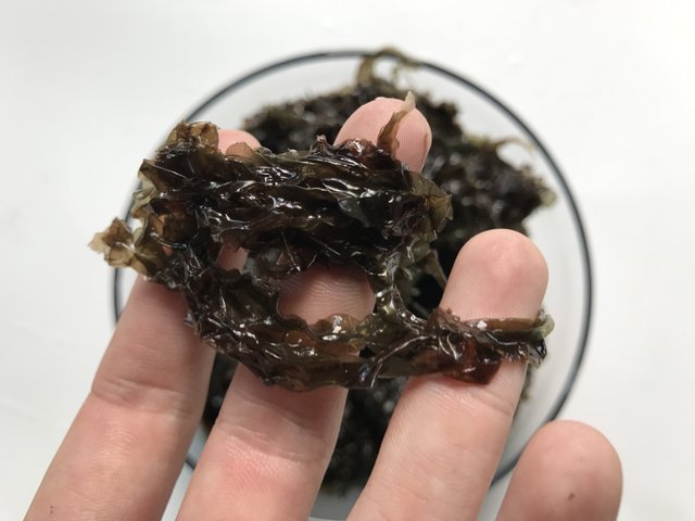 【欢汐】鲜活紫菜 新鲜紫菜 六鳌头水紫菜 10包礼盒装