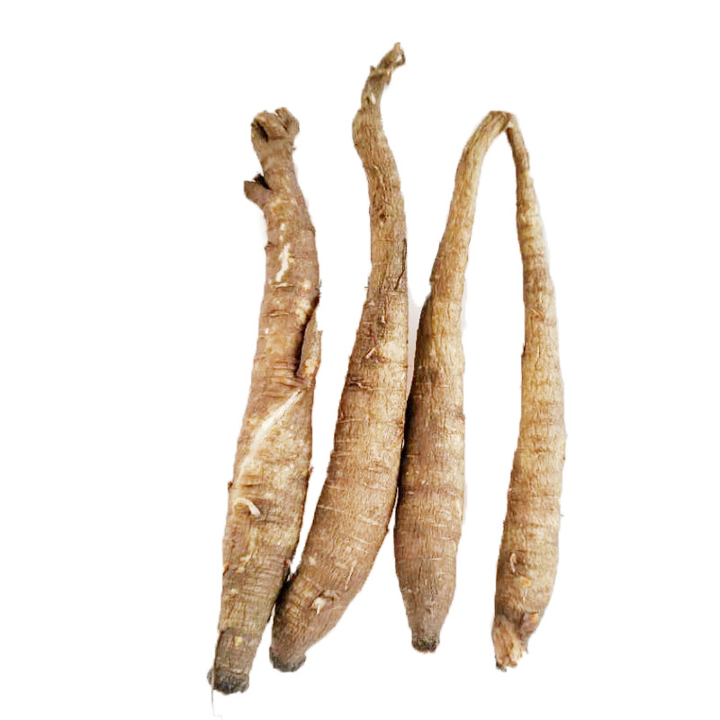 四川凉山新鲜菜当归健康补品甜当归5斤包邮