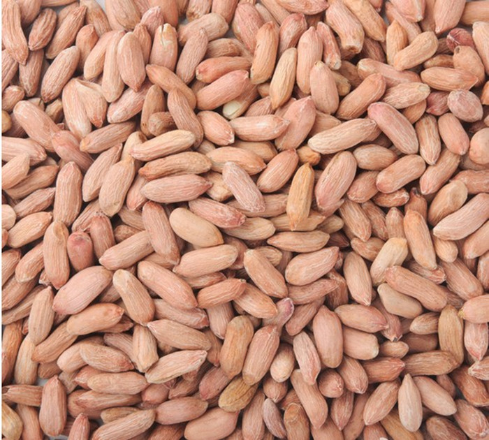 山东土特产威海有机大花生仁瘦小秕花生米生吃保健养胃农家自产