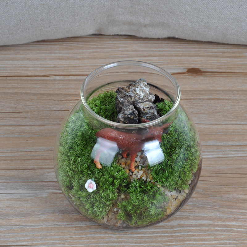 依雯然 苔藓微景观生态瓶 diy玻璃瓶 办公室植物盆栽 创意礼品