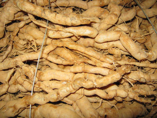 传统滋补汤料广东特产巴戟中药材野生肉苁蓉 青海野生黑枸杞浸酒