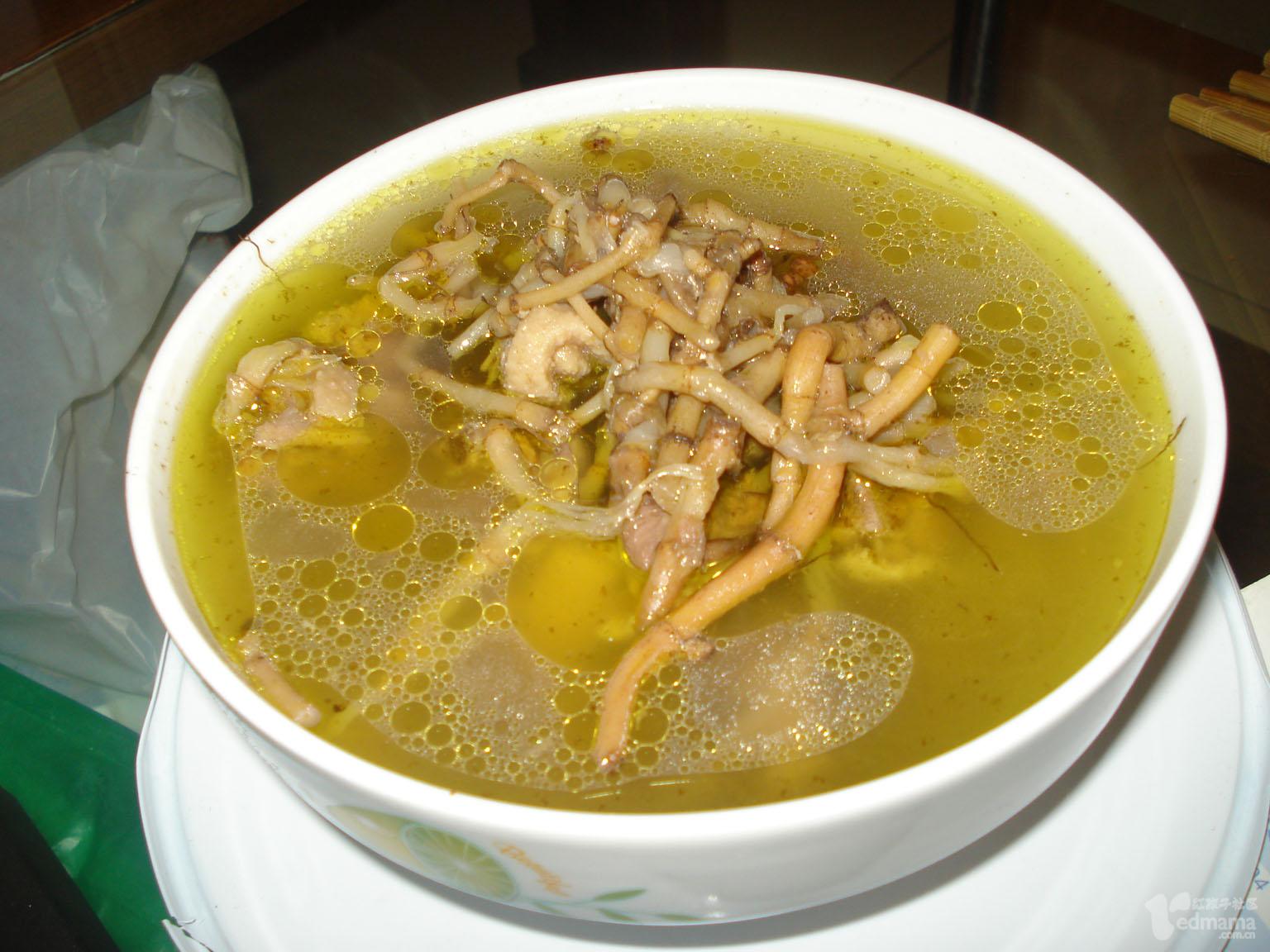 新鲜 鱼腥草 折耳根 野生鱼腥茶 侧耳根 节节根 舌尖上的中国美食